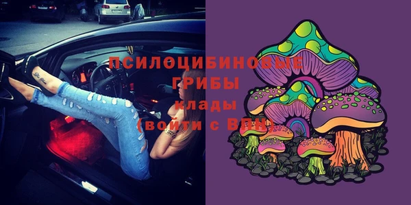 дживик Алексин